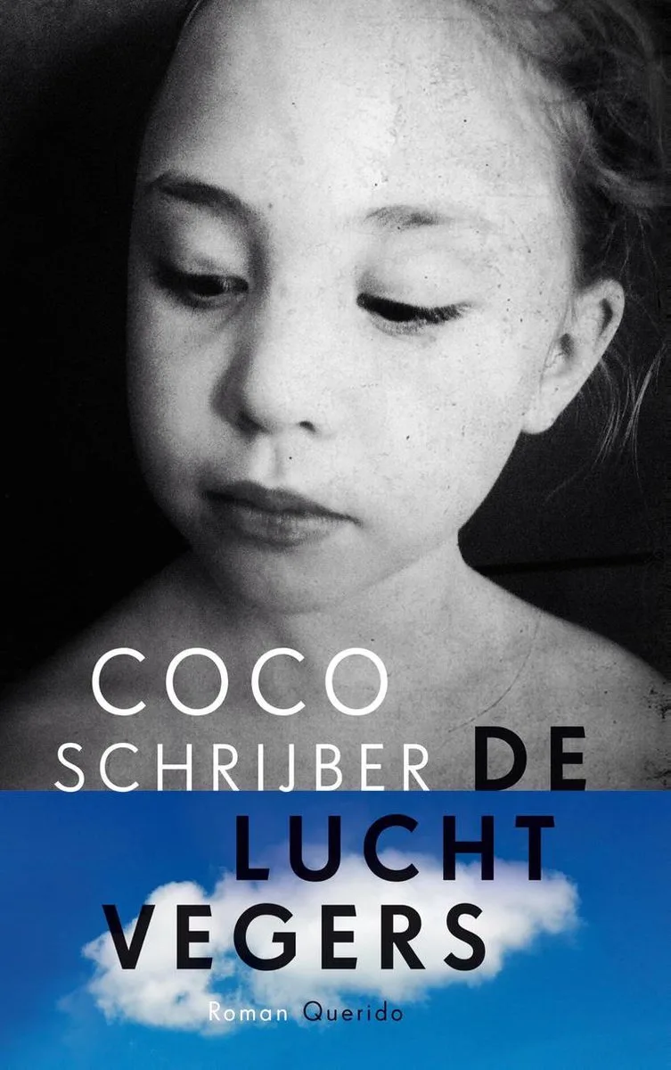 De luchtvegers von Querido – Buchfoto