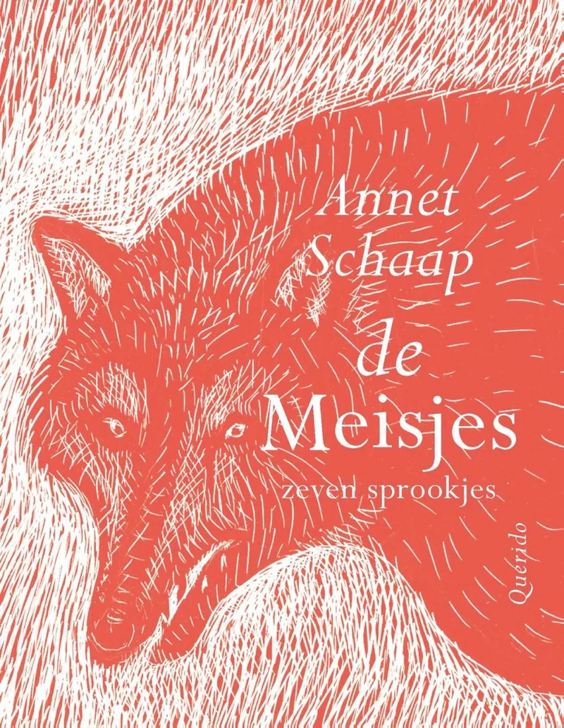De meisjes fra Querido – billede af bogen