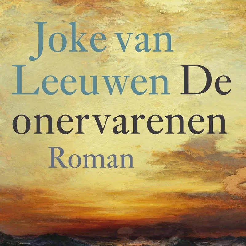 De onervarenen von Querido – Buchfoto