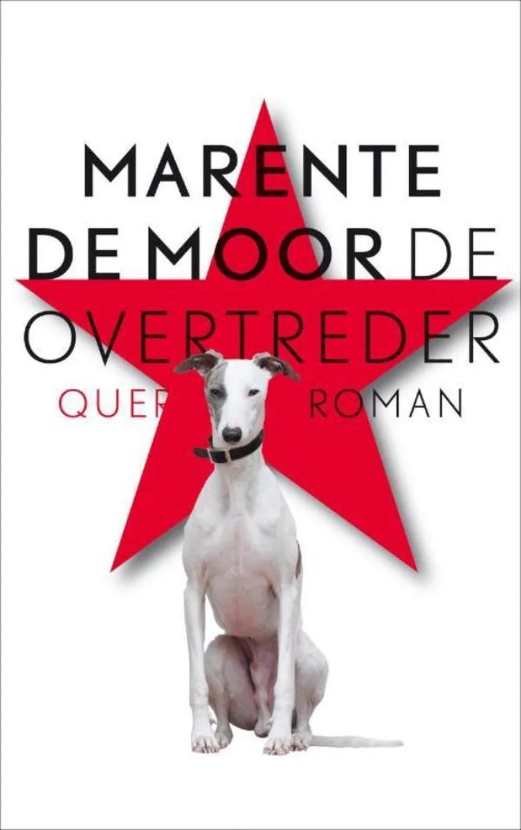 De overtreder fra Querido – billede af bogen