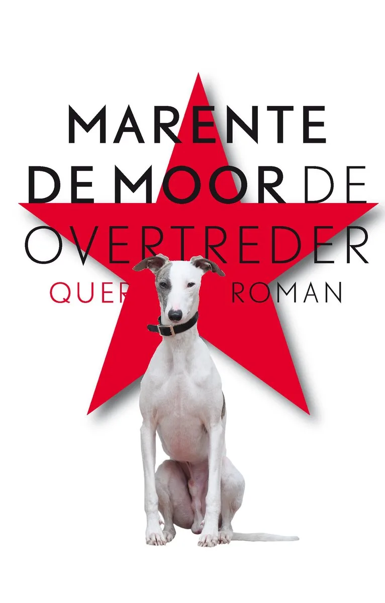 De overtreder van Querido – boekfoto
