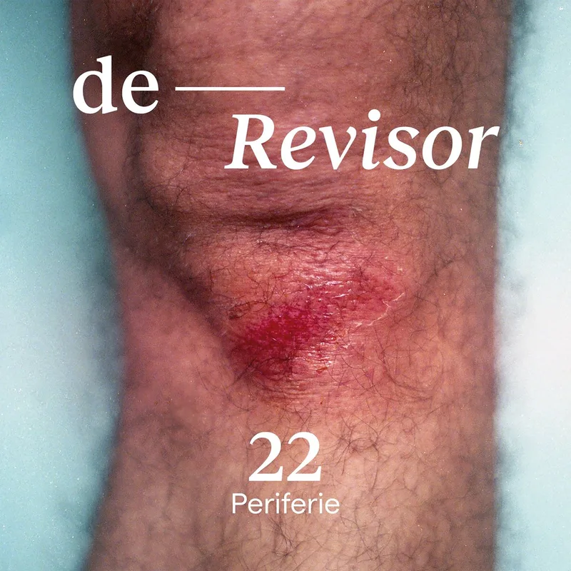 De Revisor #22 by Querido – book photo