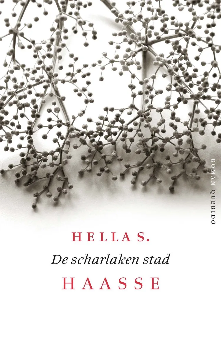 De scharlaken stad von Querido – Buchfoto