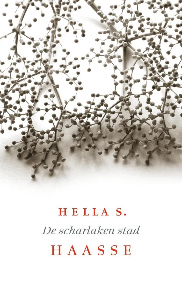 De scharlaken stad von Querido – Buchfoto