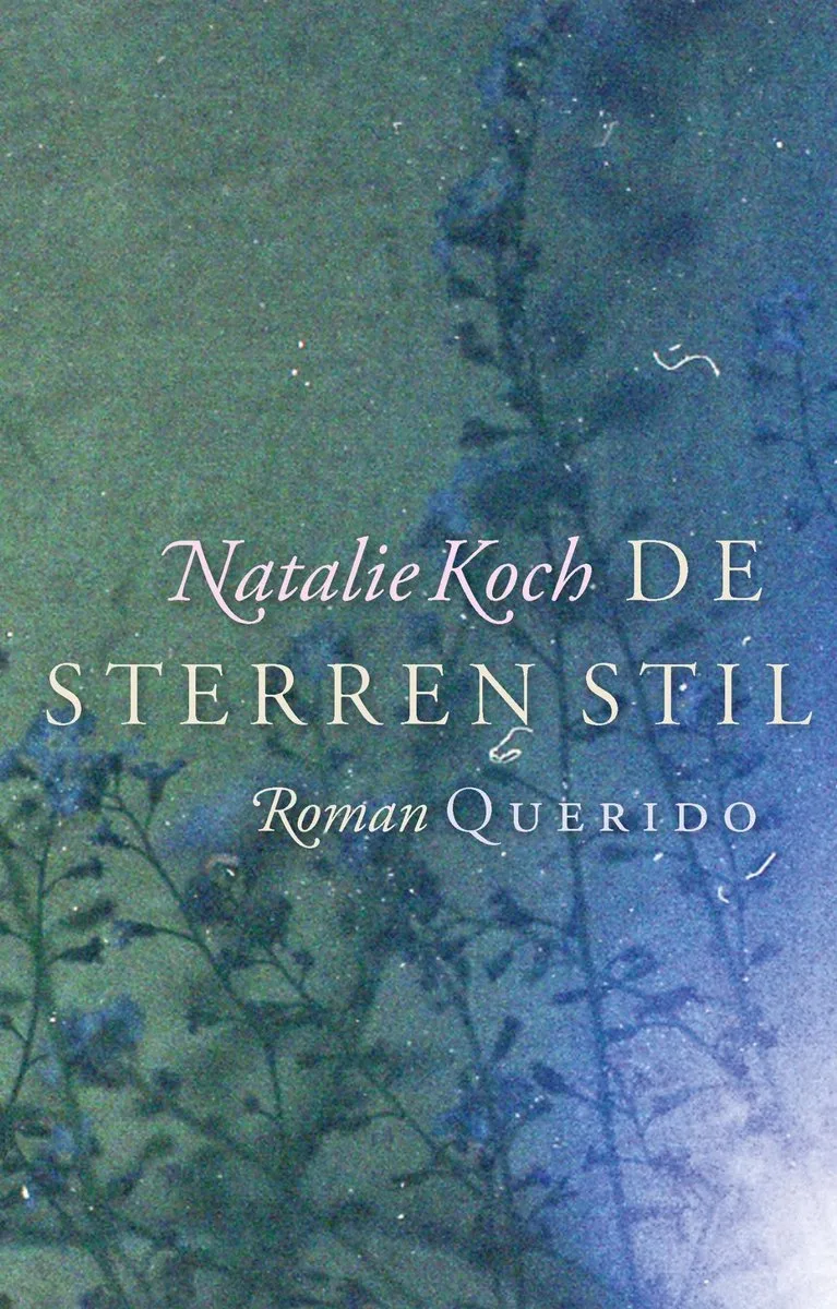 De sterren stil van Querido – boekfoto