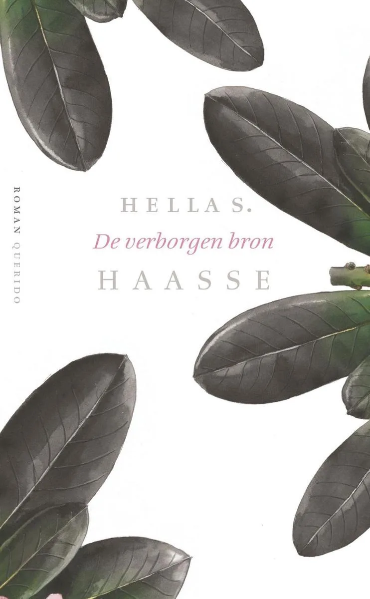 De verborgen bron fra Querido – billede af bogen
