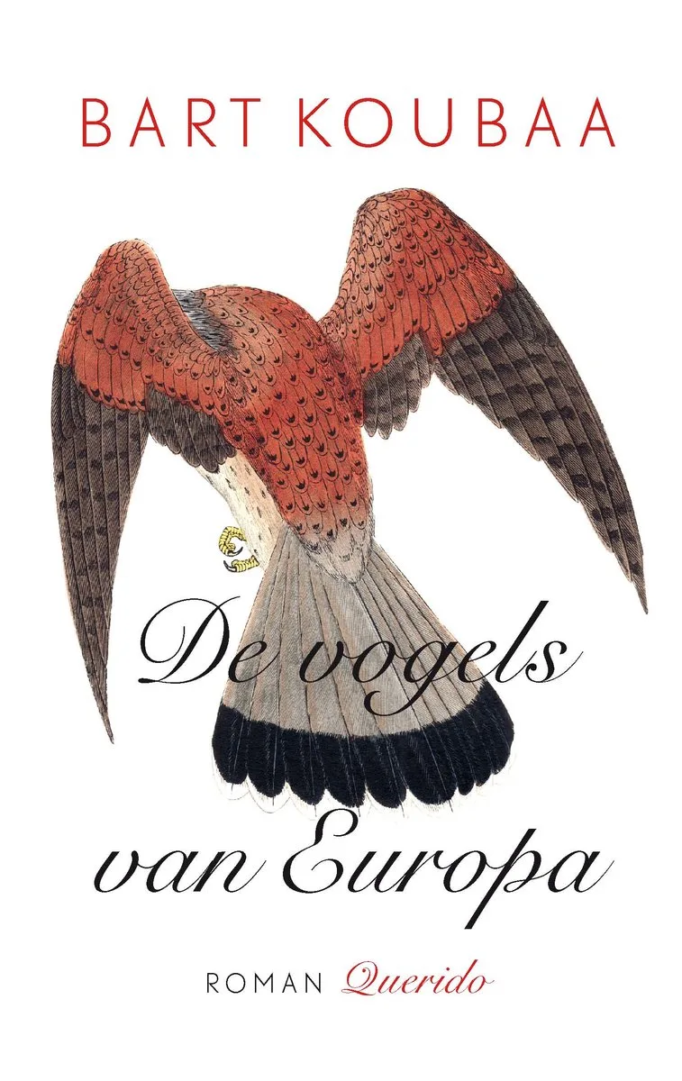 De vogels van Europa von Querido – Buchfoto