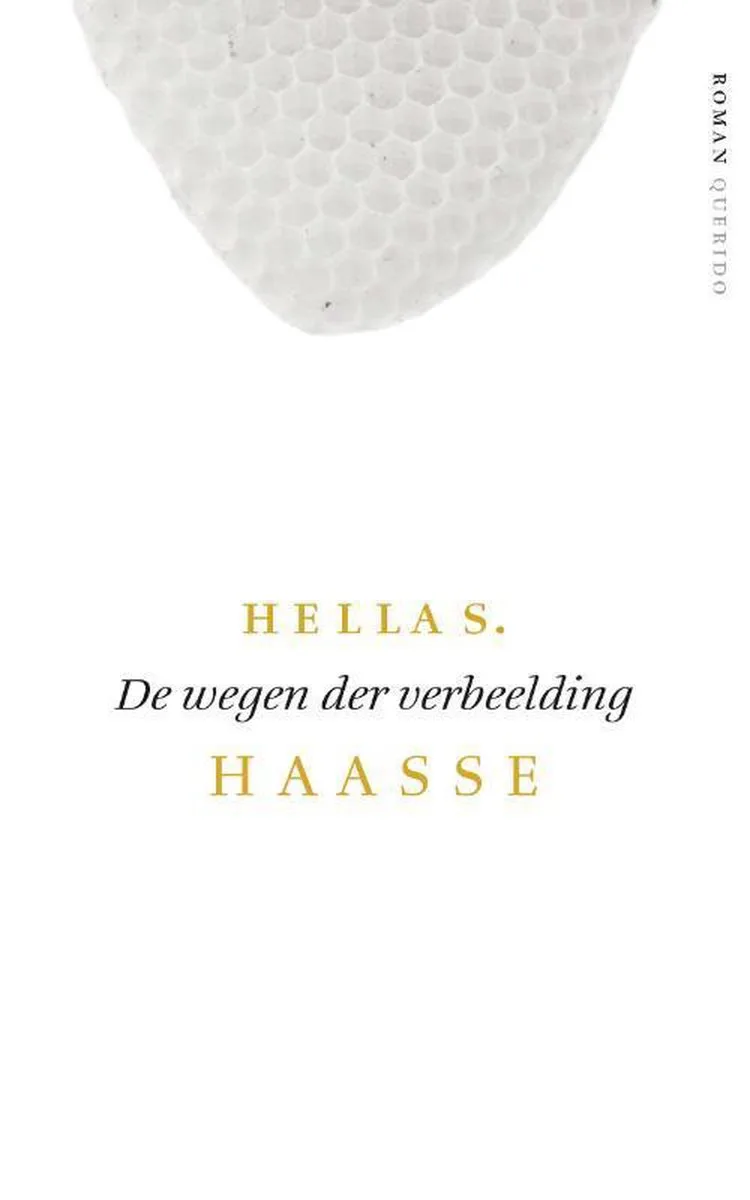 De wegen der verbeelding fra Querido – billede af bogen