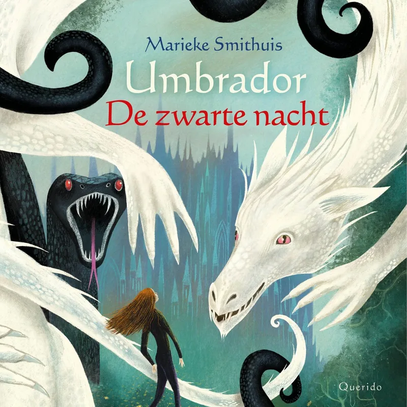 De zwarte nacht von Querido – Buchfoto