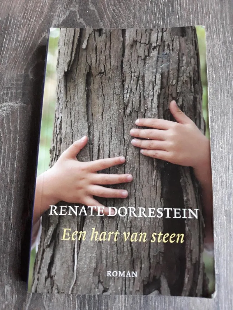 Een hart van steen fra Querido – billede af bogen