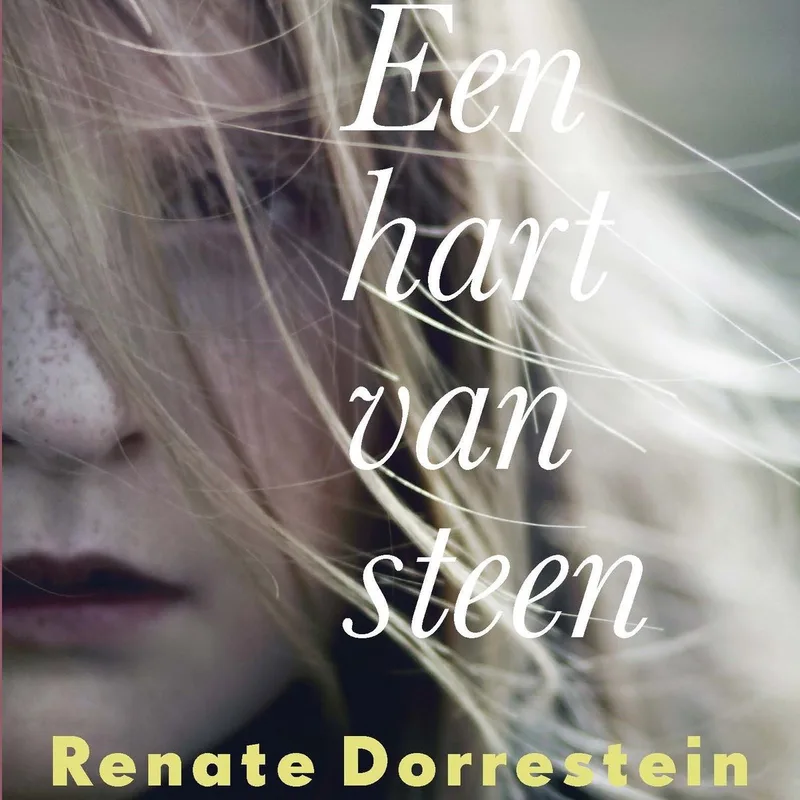 Een hart van steen fra Querido – billede af bogen