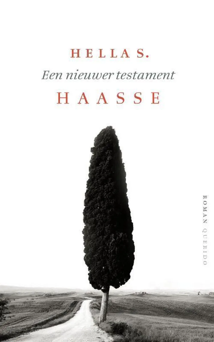 Een nieuwer testament fra Querido – billede af bogen