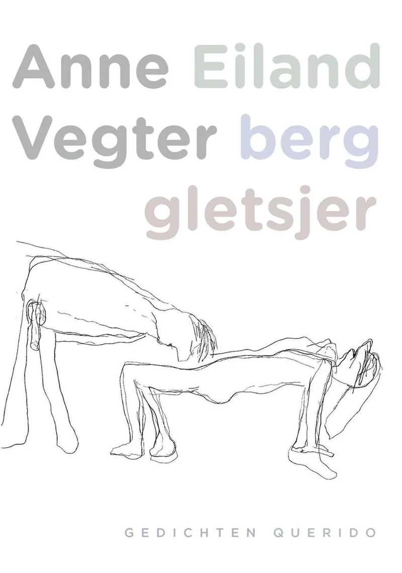 Eiland berg gletsjer de Querido – photo du livre