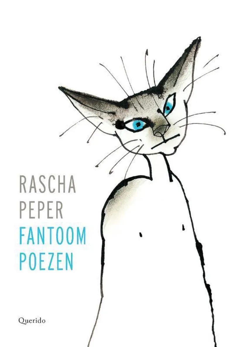 Fantoompoezen van Querido – boekfoto
