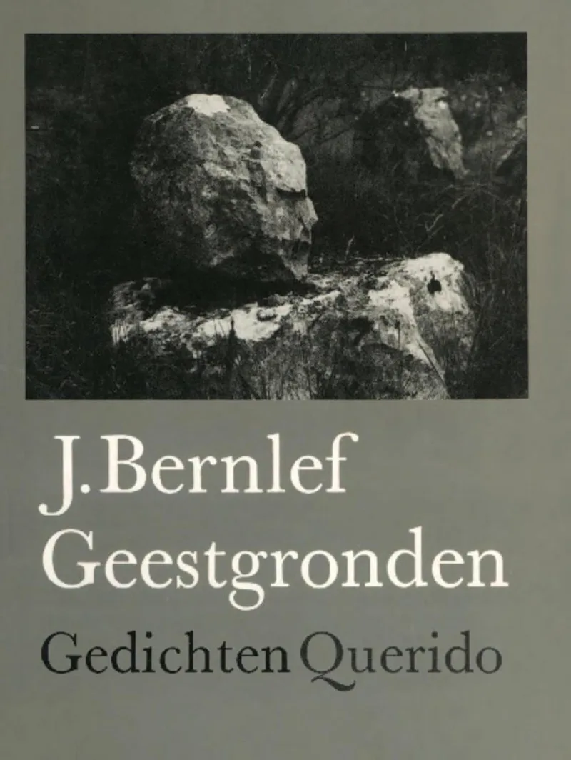Geestgronden von Querido – Buchfoto