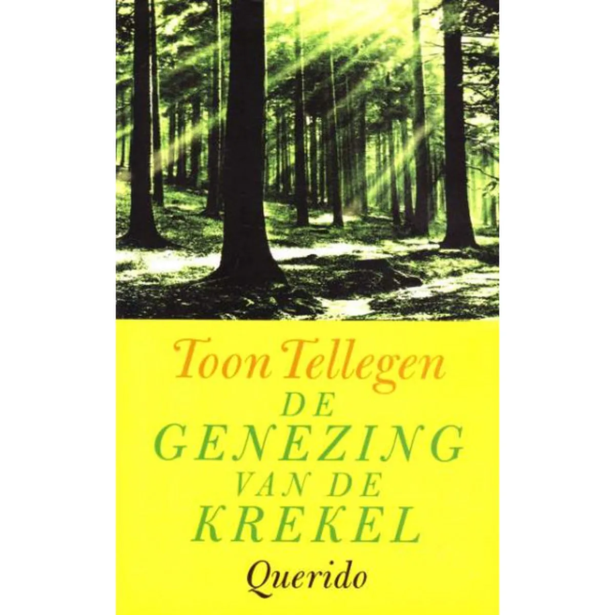Genezing Van De Krekel von Querido – Buchfoto