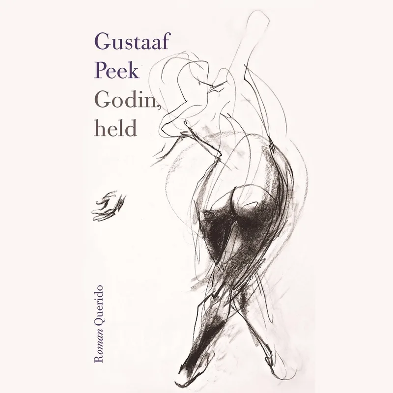 Godin, held von Querido – Buchfoto