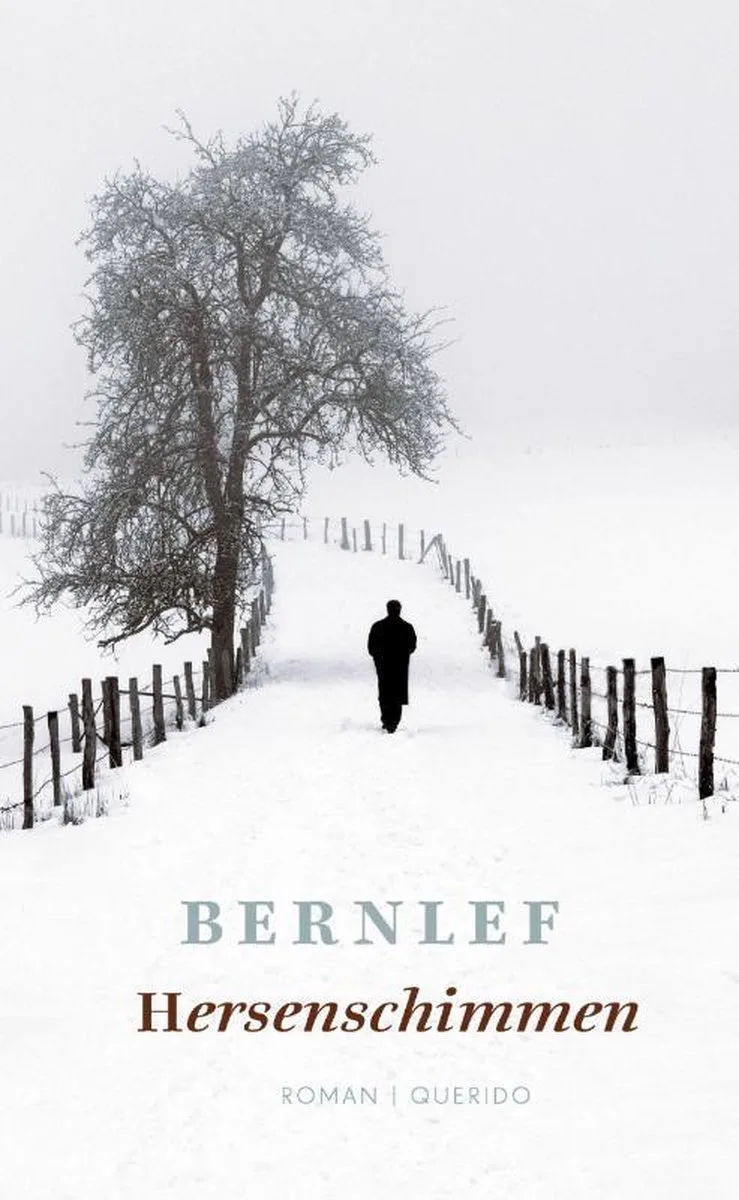 Hersenschimmen by Querido – book photo
