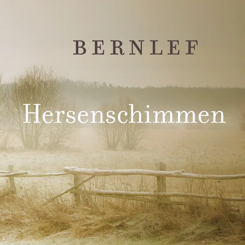 Hersenschimmen von Querido – Buchfoto