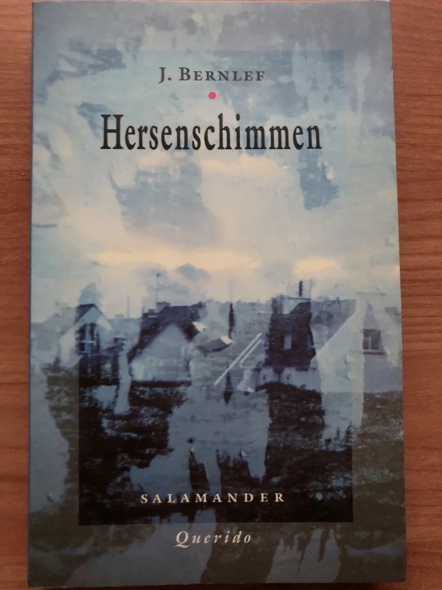 Hersenschimmen | J. Bernlef von Querido – Buchfoto