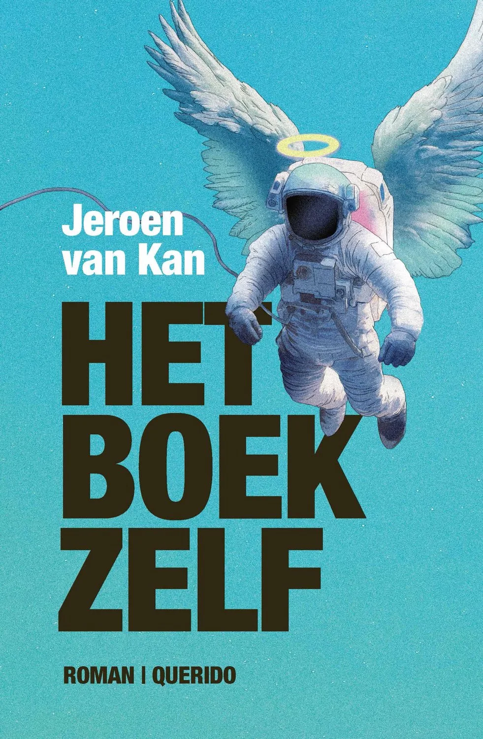 Het boek zelf von Querido – Buchfoto