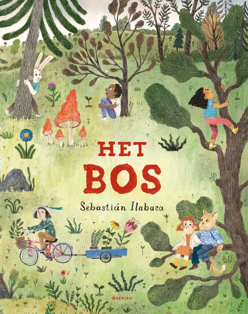 Het bos fra Querido – billede af bogen