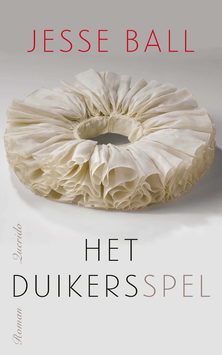 Het duikersspel by Querido – book photo