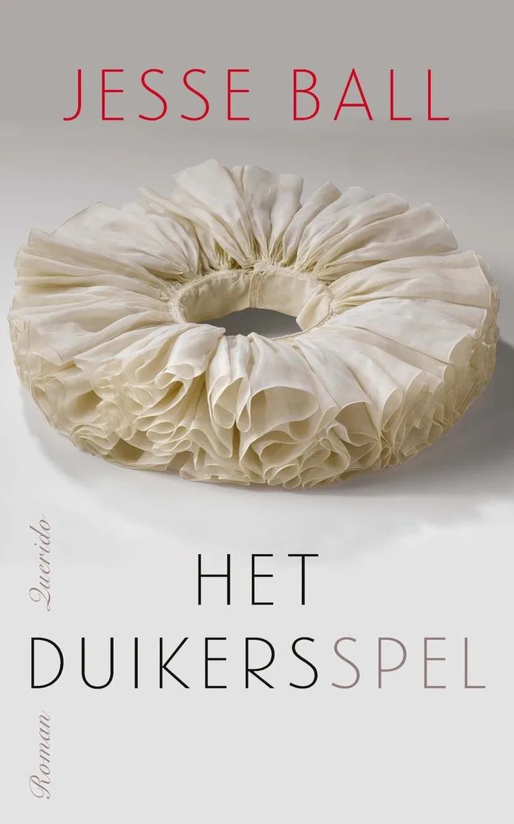 Het duikersspel von Querido – Buchfoto