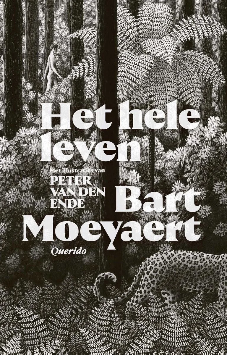 Het hele leven von Querido – Buchfoto