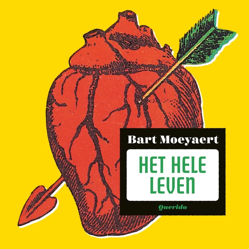 Het hele leven von Querido – Buchfoto