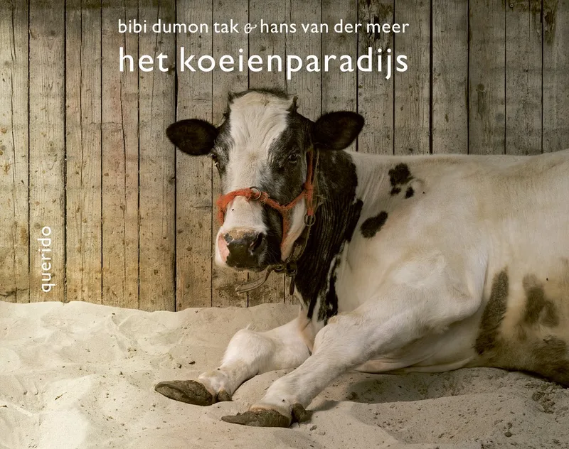 Het koeienparadijs von Querido – Buchfoto