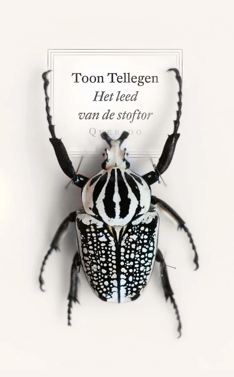 Het leed van de stoftor von Querido – Buchfoto