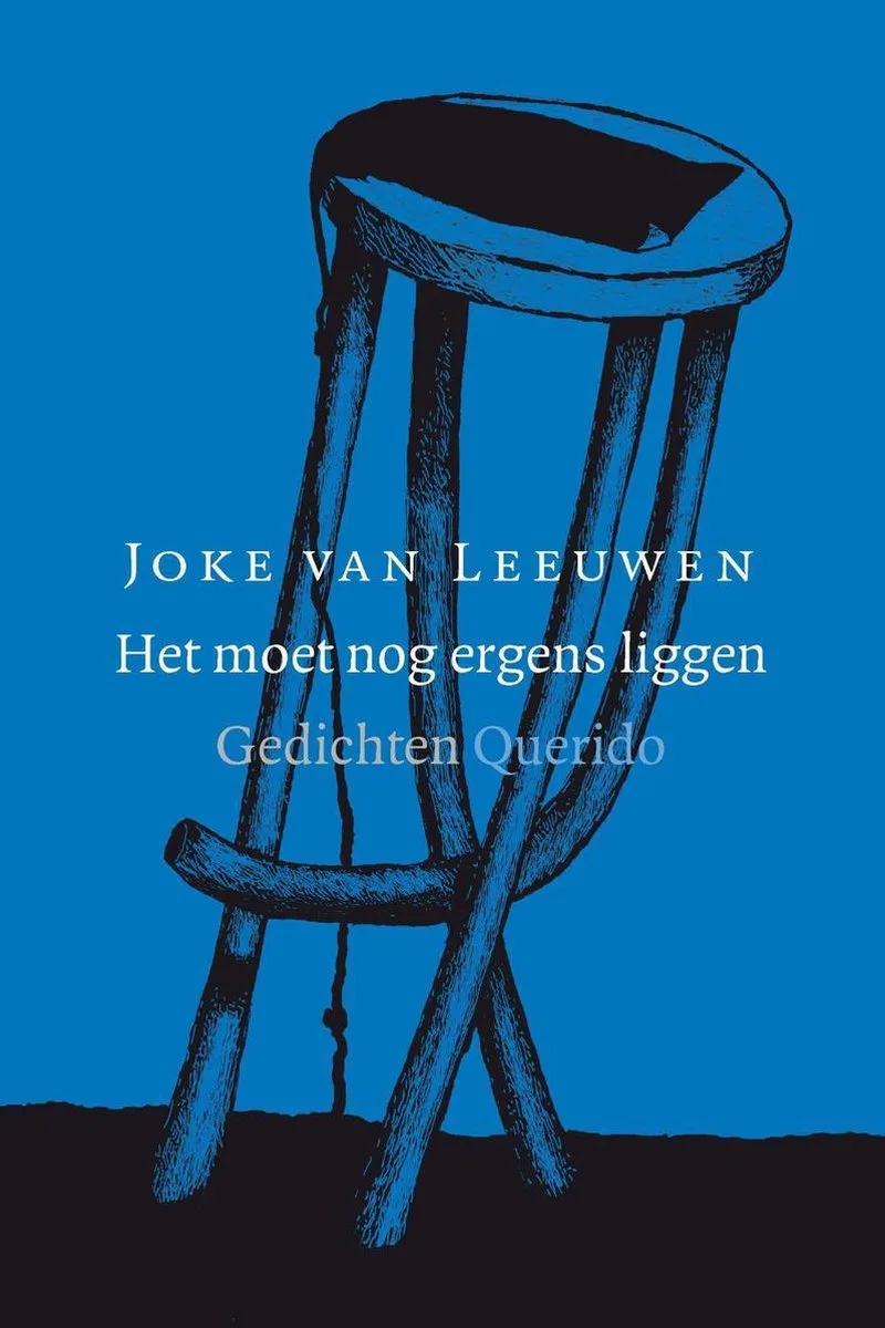 Het moet nog ergens liggen von Querido – Buchfoto