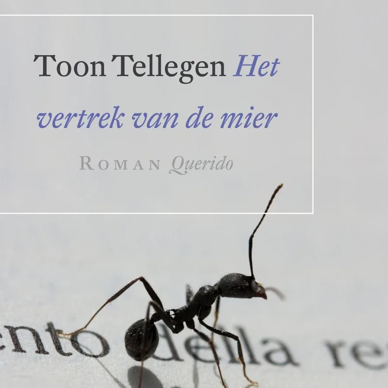 Het vertrek van de mier von Querido – Buchfoto