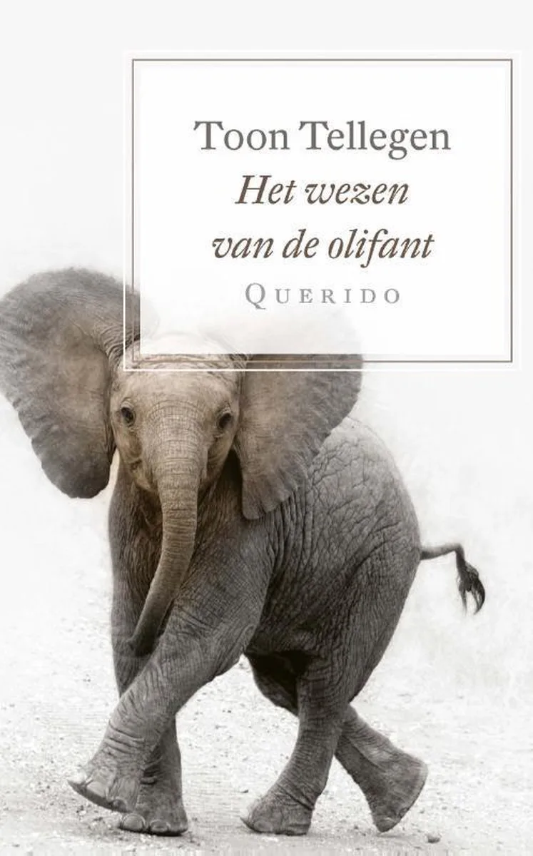 Het wezen van de olifant von Querido – Buchfoto