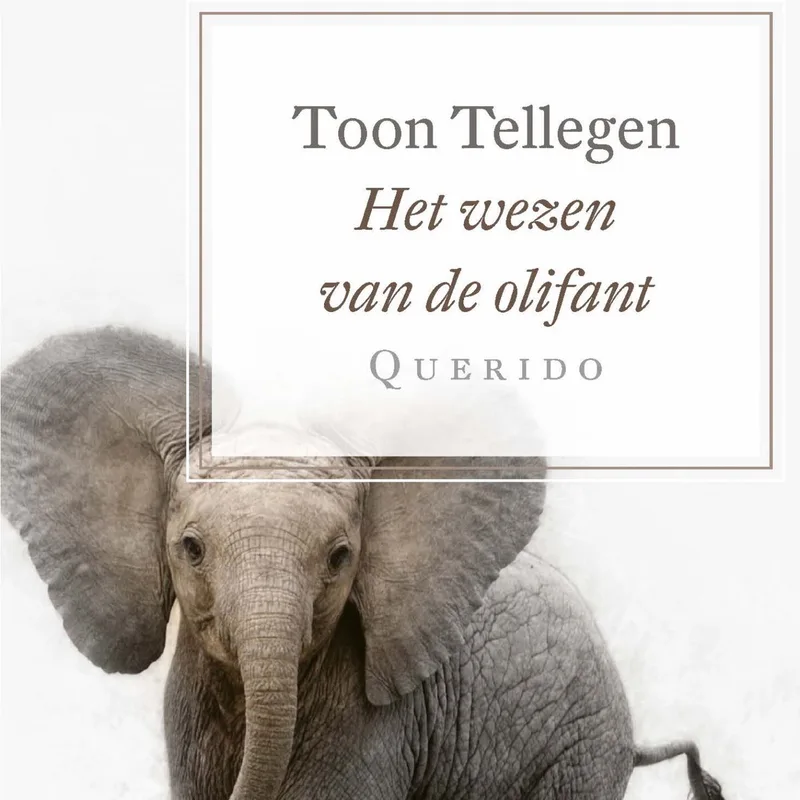 Het wezen van de olifant von Querido – Buchfoto
