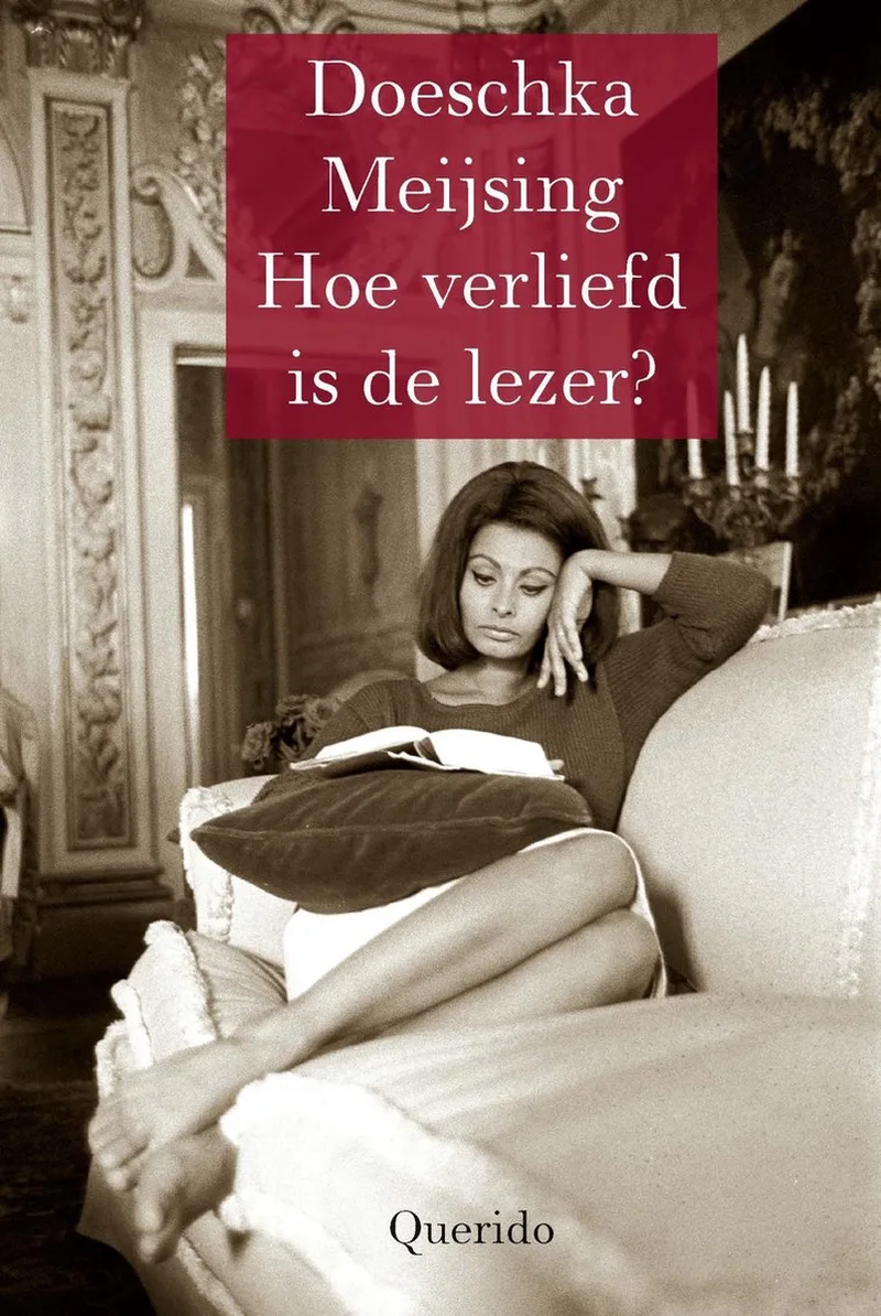 Hoe verliefd is de lezer? von Querido – Buchfoto