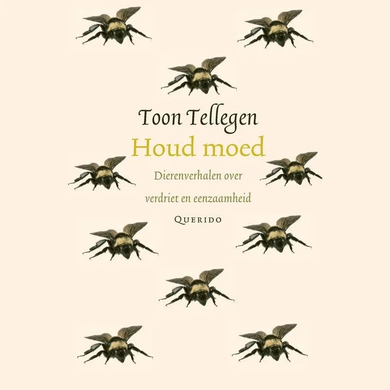 Houd moed von Querido – Buchfoto