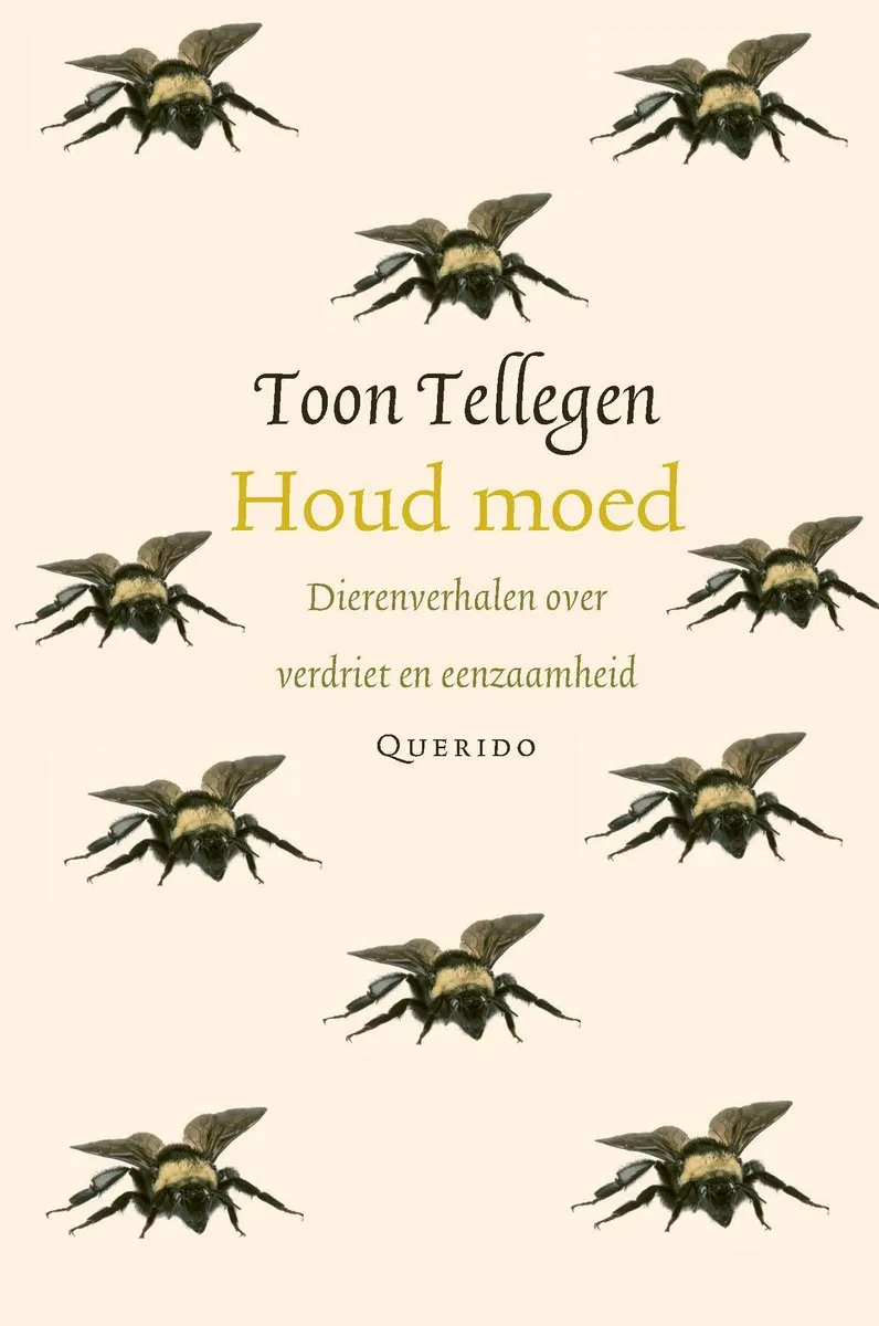 Houd moed von Querido – Buchfoto