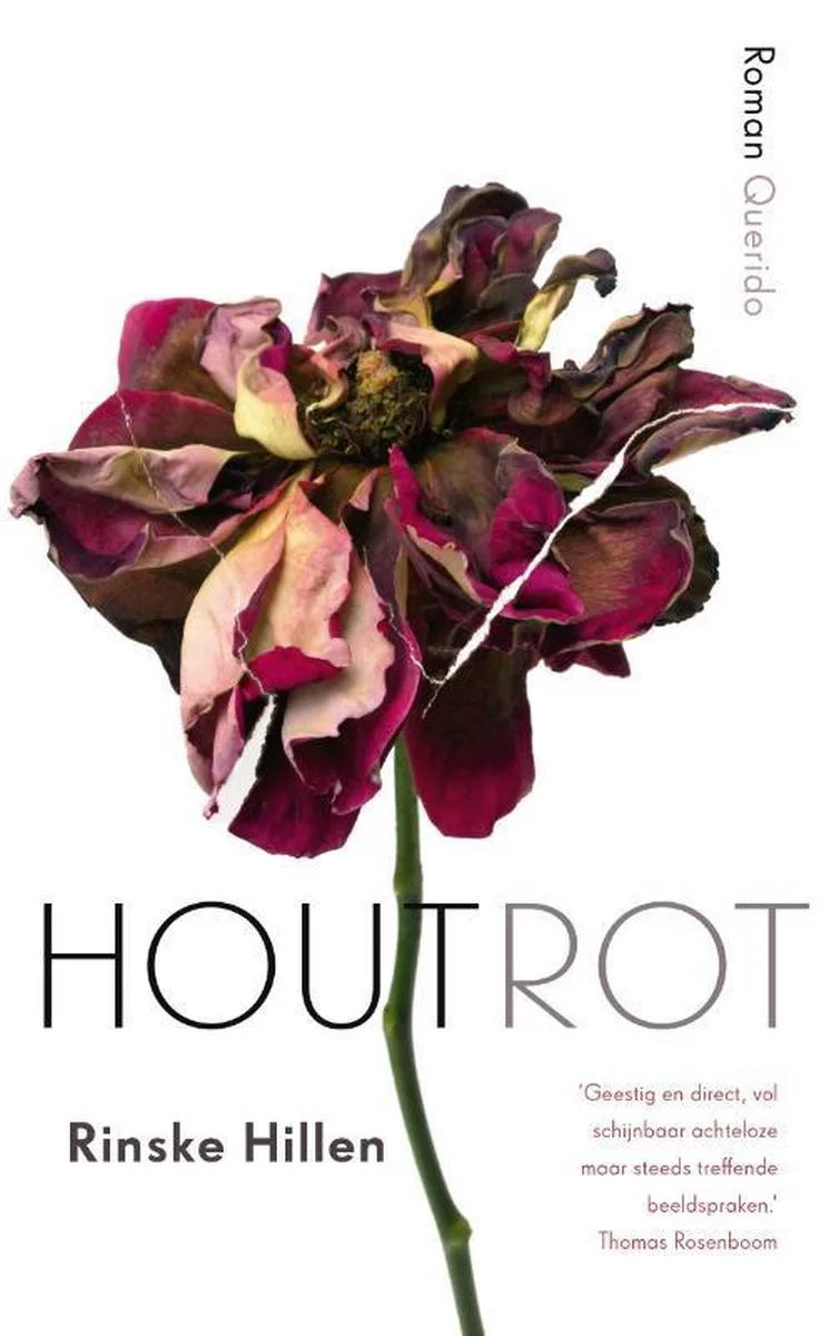 Houtrot von Querido – Buchfoto