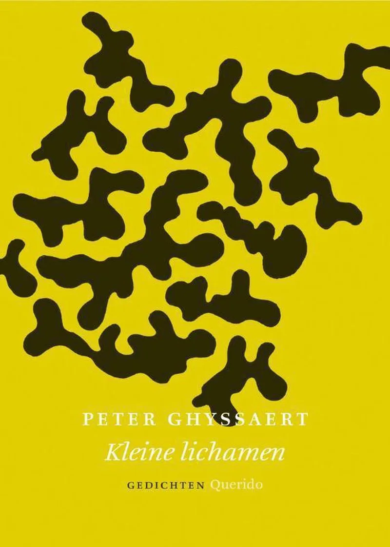 Kleine Lichamen fra Querido – billede af bogen