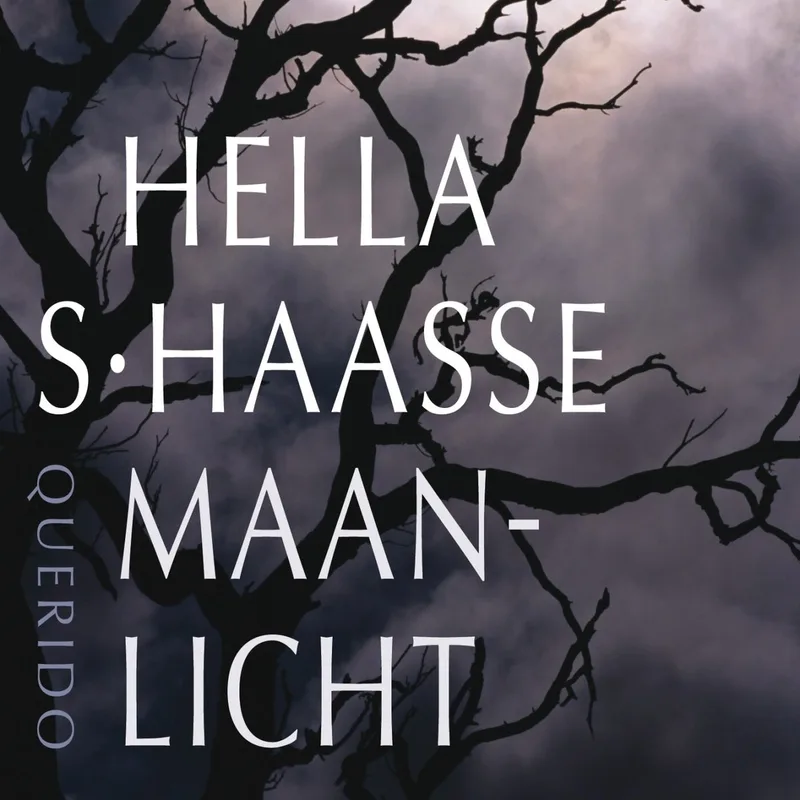 Maanlicht van Querido – boekfoto