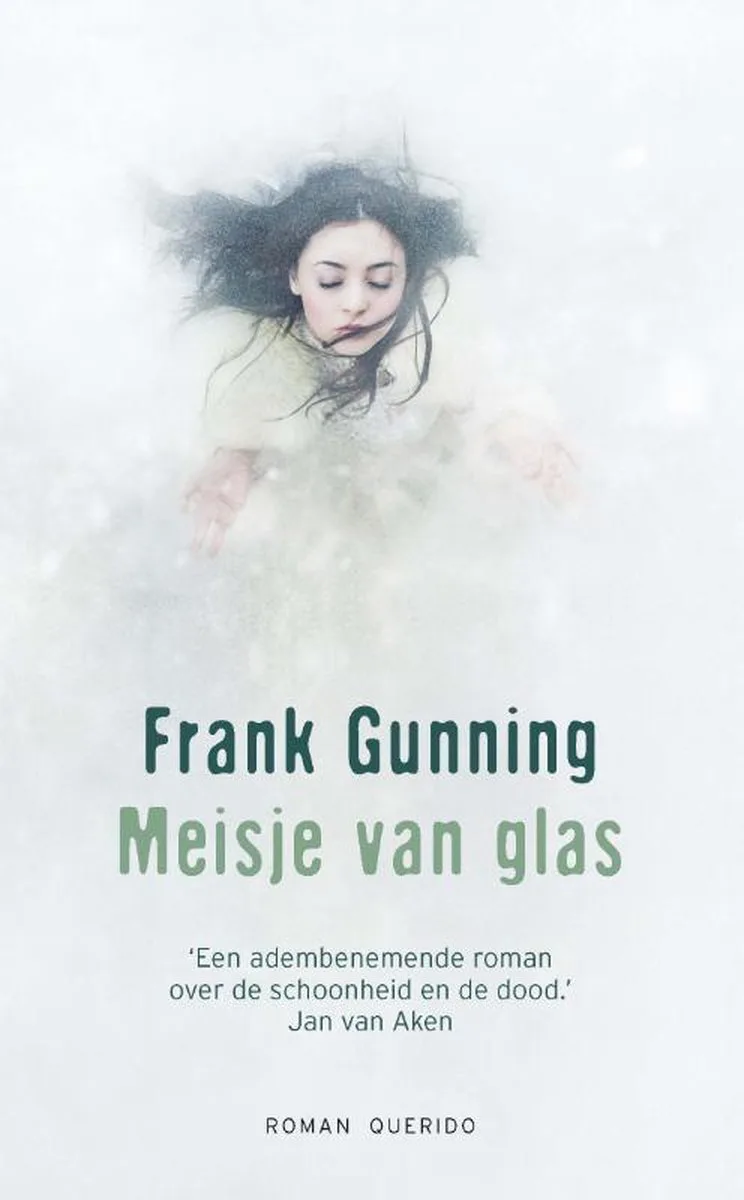 Meisje van glas fra Querido – billede af bogen