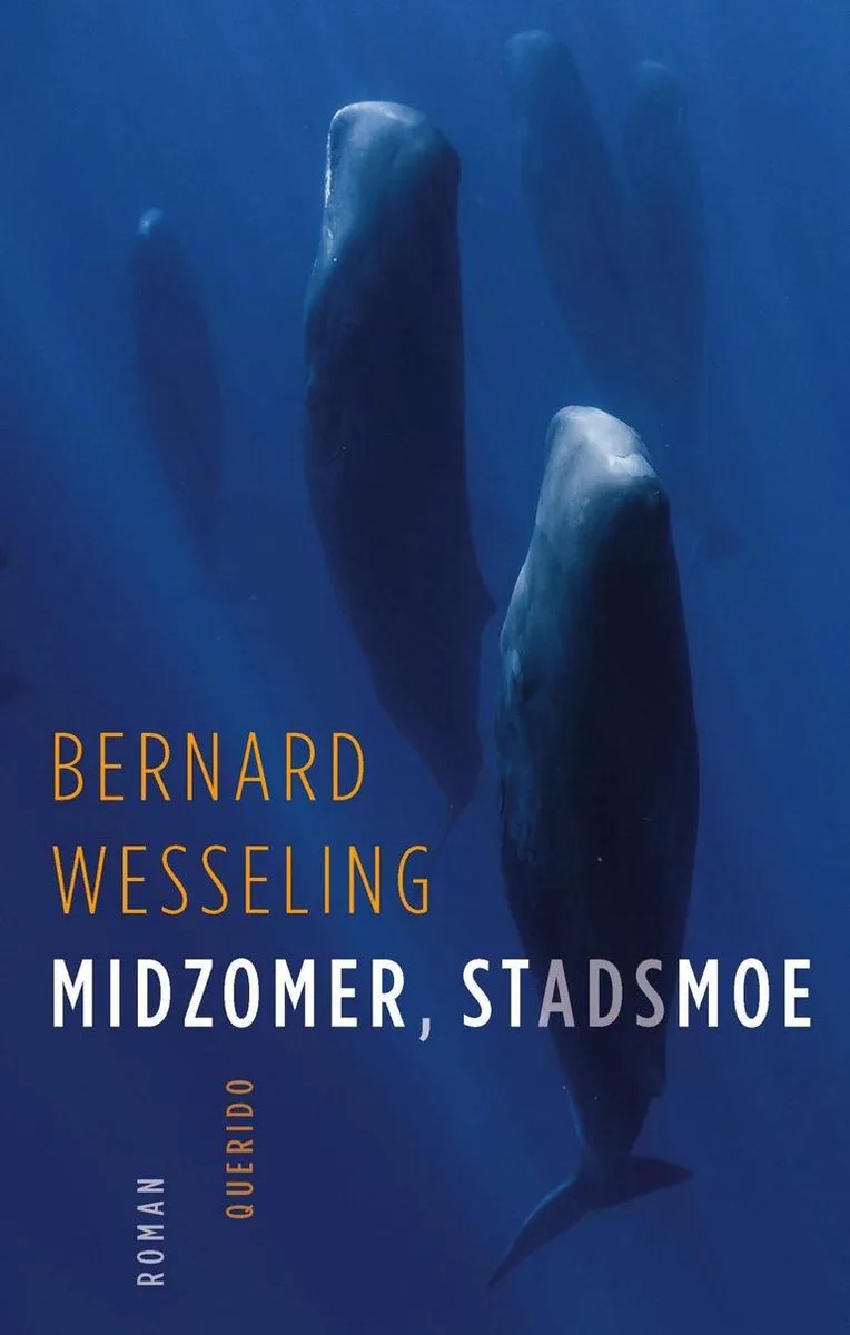 Midzomer, stadsmoe fra Querido – billede af bogen