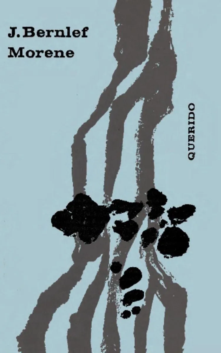 Morene von Querido – Buchfoto