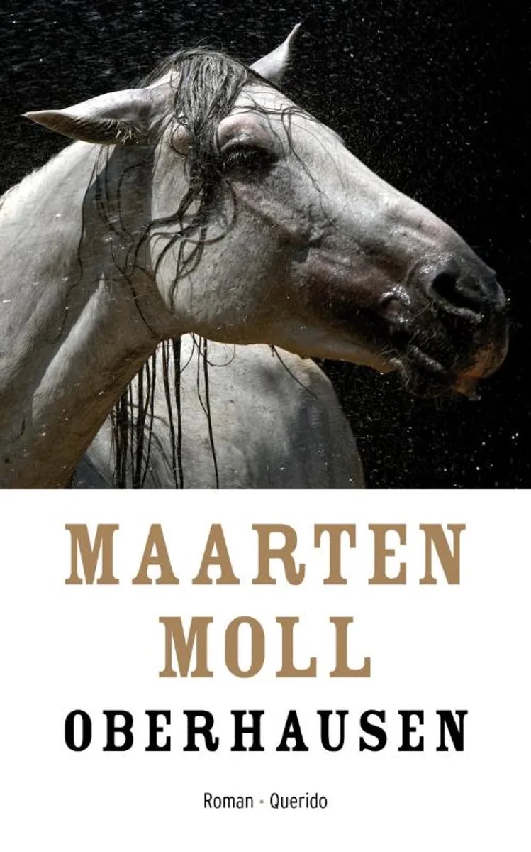 Oberhausen von Querido – Buchfoto