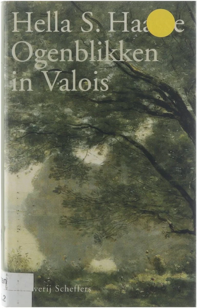 Ogenblikken in Valois von Querido – Buchfoto