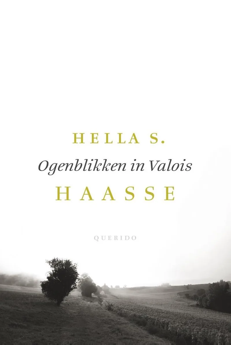 Ogenblikken in Valois fra Querido – billede af bogen