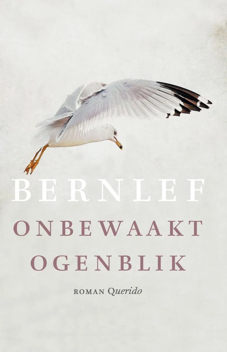 Onbewaakt ogenblik von Querido – Buchfoto