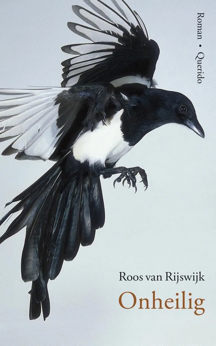 Onheilig von Querido – Buchfoto